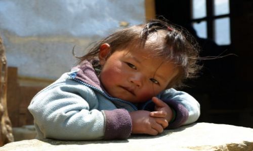 Zdjęcie NEPAL / Khumbu-Gokyo / Mong Lo / Zamyślona