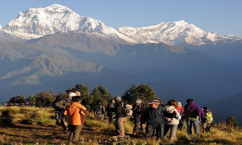 Zdjecie NEPAL / Annapurna / Poon Hill / Poon Hill