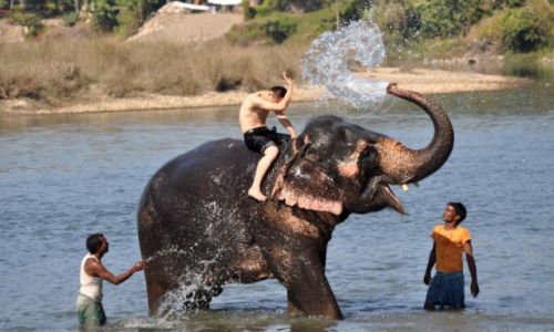 Zdjecie NEPAL / Therai / Chitwan / zabawa na soniu