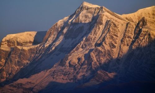 Zdjecie NEPAL / Dhaulaghiri / widok z Poon Hill / Gurja Himal 7193m