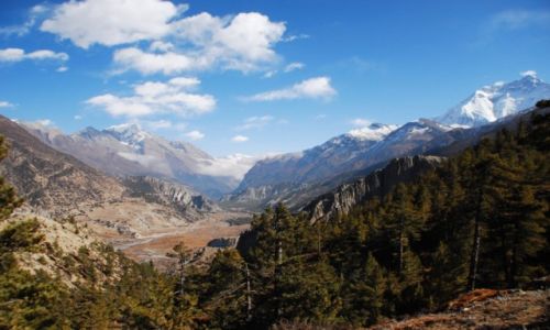Zdjecie NEPAL / Manang / Manang / Annapurna trekking
