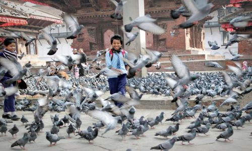 Zdjecie NEPAL / Kathmandu / Kathmandu / people