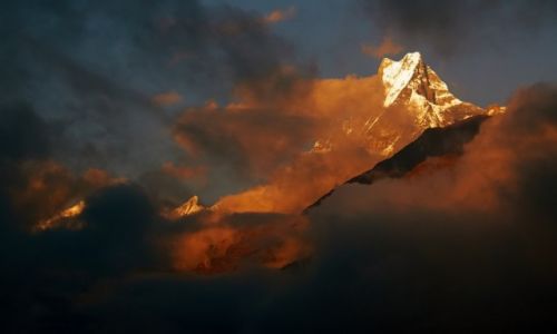 Zdjecie NEPAL / Machapuchare Base Camp / Himalaje / Machapuchare