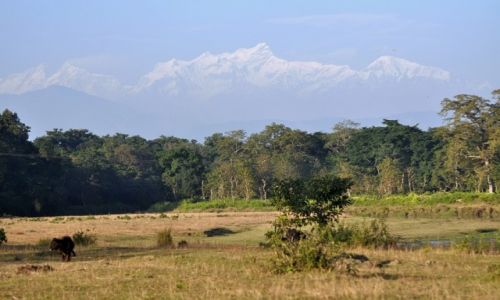 Zdjcie NEPAL / Terai / Sauraha / Manaslu z PN Chitwan