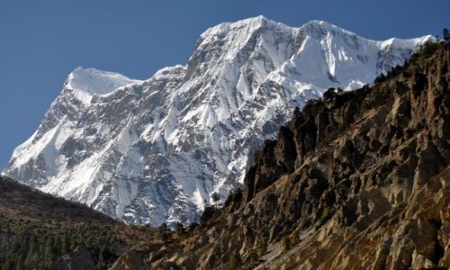 Zdjecie NEPAL / Annapurna / okolice Humde / Annapurna III