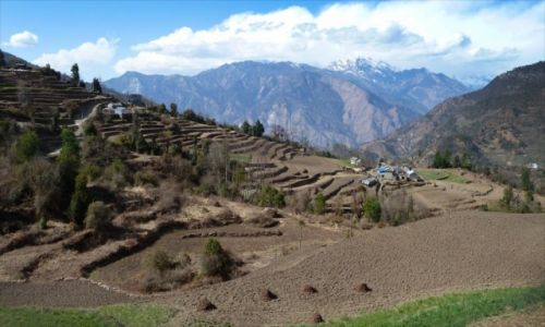 Zdjecie NEPAL / REGION ANNAPURNY / REGION ANNAPURNY / NEPAL
