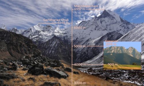 Zdjecie NEPAL / Annapurna Conservation Area / Annapurna Base Camp / Porwnanie Himalajw do Tatr