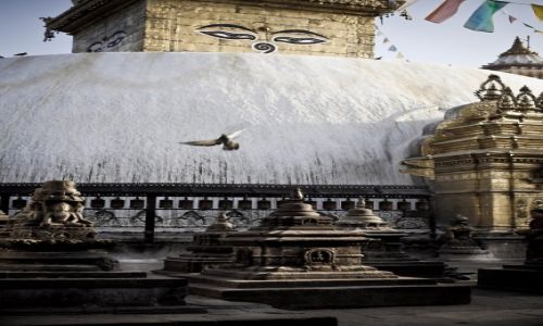 Zdjecie NEPAL / Katmandu / Swajambhunath / Stupa o wicie