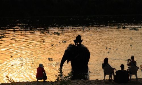 Zdjcie NEPAL / Chitwan / Chitwan / Kapiel