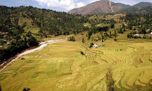 Zdjęcie NEPAL / brak / Tansen - Pokara / Po drodze do Tansen