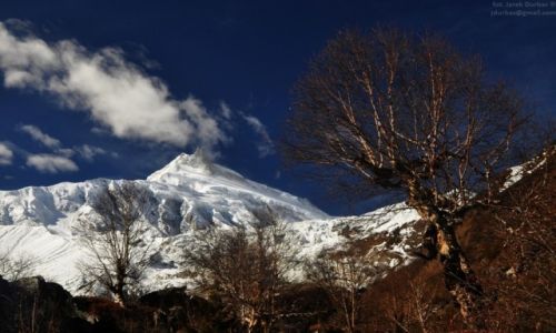 Zdjcie NEPAL / Manaslu / Samagaon / Manaslu