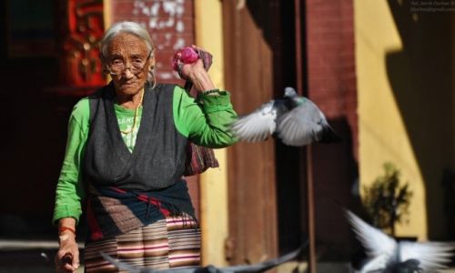 Zdjecie NEPAL / Dolina Kathmandu / Stupa Bouddanath / efekt goebia