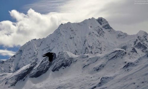 Zdjcie NEPAL / Manaslu / Samagaon / kruka cie