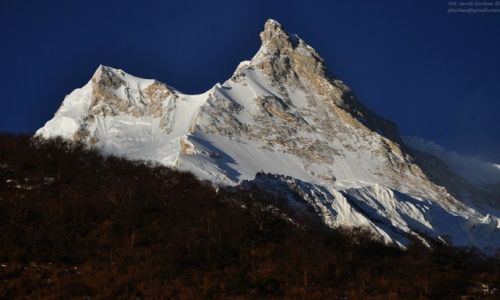 Zdjcie NEPAL / Manaslu / Samagaon / 8163m