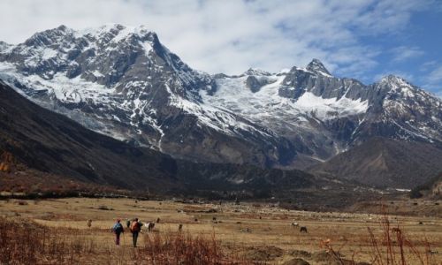 Zdjecie NEPAL / Manaslu / Samagaon / Nike Himal