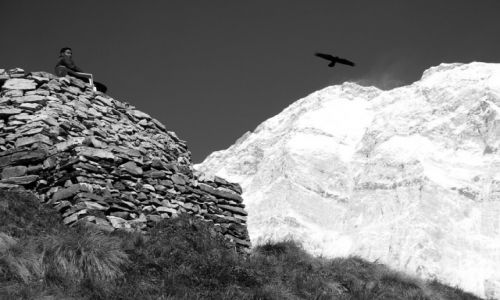Zdjcie NEPAL / Masyw Annapurny / Sanktuarium Annapurny / Harmonia