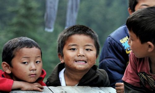 Zdjecie NEPAL / Langtang / Thulo Syaphru / Chopcy z Thulo Syaphru