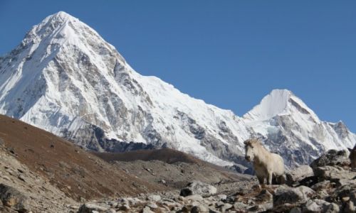 Zdjecie NEPAL / Everest / Himalaje / Pumo Ri