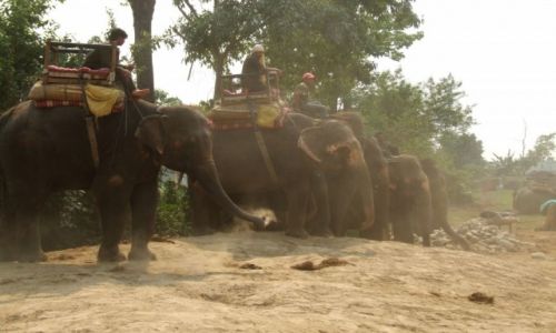 Zdjecie NEPAL / Nepal / chitwan / postj takswek