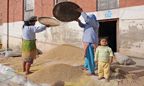 Zdjecie NEPAL / Dolina Katmandu / Bhaktapur / niwa