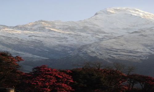 Zdjecie NEPAL / Annapurna / ANNAPURNA / NEPAL