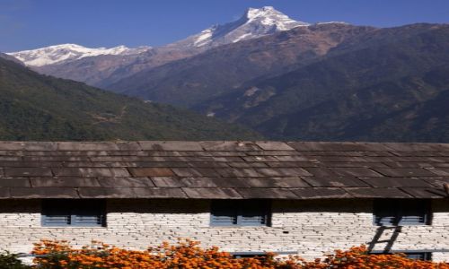 Zdjcie NEPAL / Centralny Nepal  / Annapurna Region / Machhapuchhare