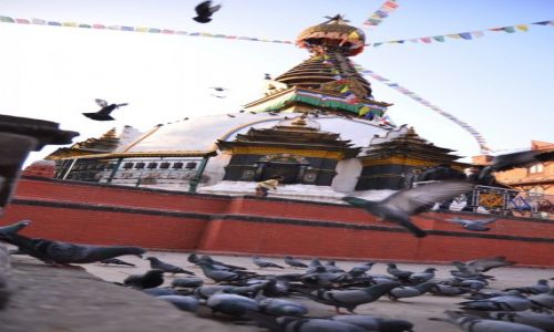 Zdjcie NEPAL / Centralny Nepal  / Pokhara / Pokhara