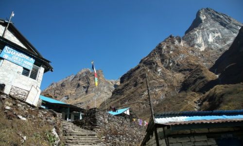 Zdjcie NEPAL / Himalaje / DEURALI / na szlaku