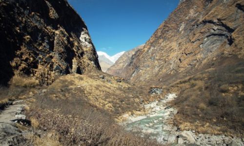 Zdjcie NEPAL / Himalaje / DEURALI / W drodze do Machhapuchhare Base Camp