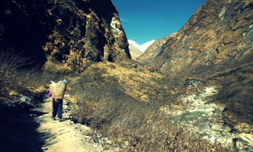 Zdj�cie NEPAL / Himalaje / DEURALI - MBC / w�w�z