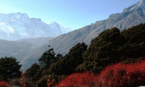 Zdjcie NEPAL / Sagarmatha / Tengboche / Z Tengboche