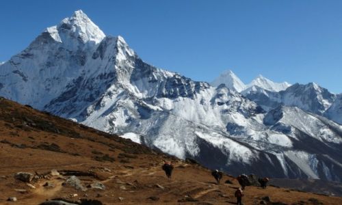 Zdjcie NEPAL / Sagarmatha / Dingboche-Lobuje / Tragarze