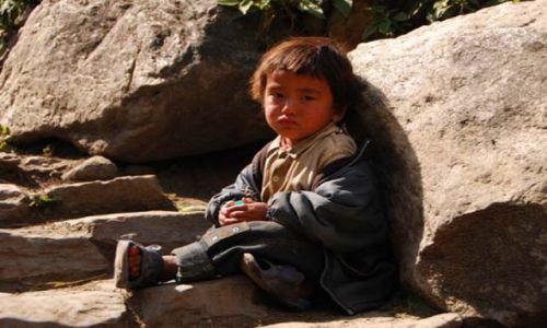 Zdjęcie NEPAL / Himalaje / gdzies na szlaku / brak