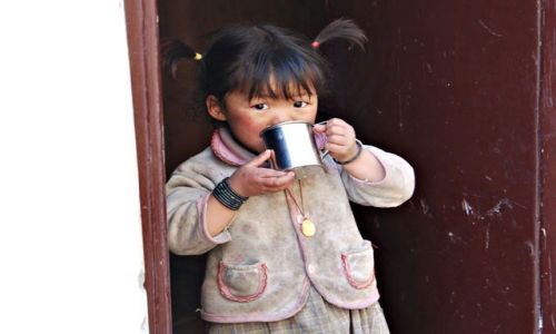Zdjecie NEPAL / Himalaje / Marpha / cherbatka??