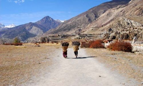 Zdjecie NEPAL / Himalaje / okolice Manang'u / kosze pelne ciepla