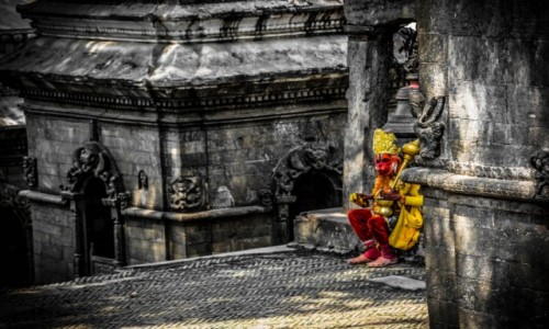 Zdjcie NEPAL / Kathmandu / Kathmandu / krl lew :)
