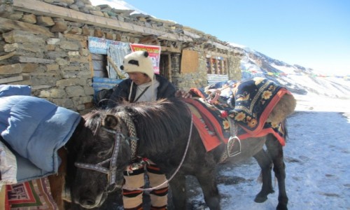 Zdj�cie NEPAL / Annapurna / Thoung La / Thorung La z Muktinath