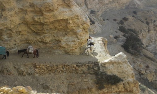 Zdjecie NEPAL / Mustang / Syangboche / Trawers kanionem Khali Gandaki