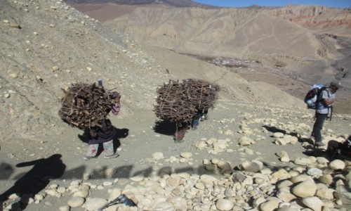 Zdjecie NEPAL / Mustang / Dakmar / Cenne drewno