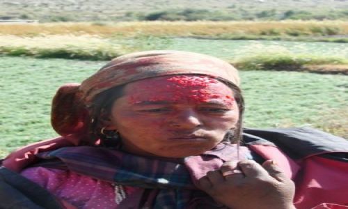 Zdjęcie NEPAL / brak / Tukuche / w drodze do Pokhary