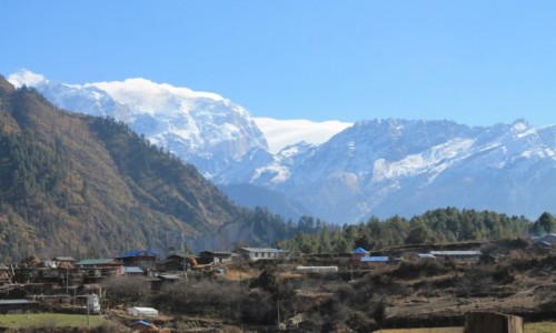 Zdjcie NEPAL / Nepal Srodkowy / Wioska Thanchowk-2400 / Trekking  Annapurna Circuit
