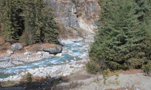 Zdjcie NEPAL / Nepal Srodkowy Annapurna / ok.Chame / Trekking  Annapurna Circuit