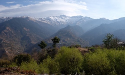 Zdjecie NEPAL / Annapurna Conservation Area / Gorepani / Na szlaku z Shikha do Gorepani