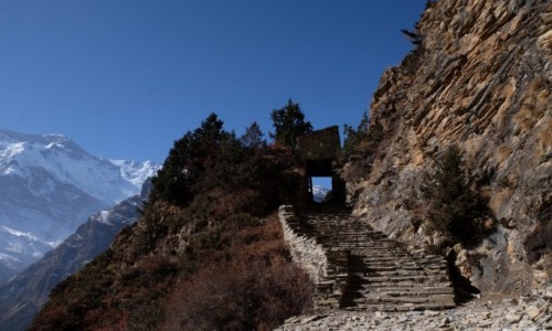 Zdjecie NEPAL / Annapurna Conservation Area / Ghyaru / Szlak do Bragi z Ghyaru