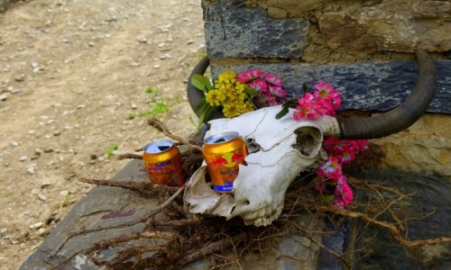 Zdjecie NEPAL / Annapurna / Annapurna / Kapliczka  