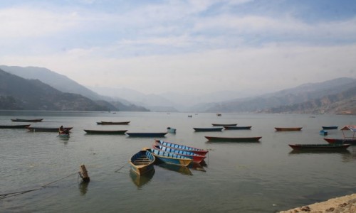 Zdjcie NEPAL / Pokhara / Phewa Tal / Pokhara