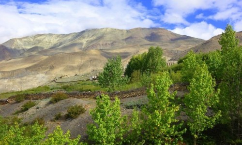 Zdjecie NEPAL / Mustang / Mustang / Mustang