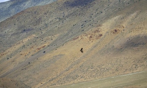 Zdjecie NEPAL / Mustang / Mustang / Mustang