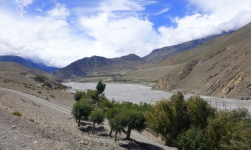 Zdjecie NEPAL / - / Mustang / Mustang