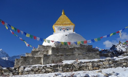 Zdjęcie NEPAL / Park Narodowy Sagarmatha / Dingboche / Stupa